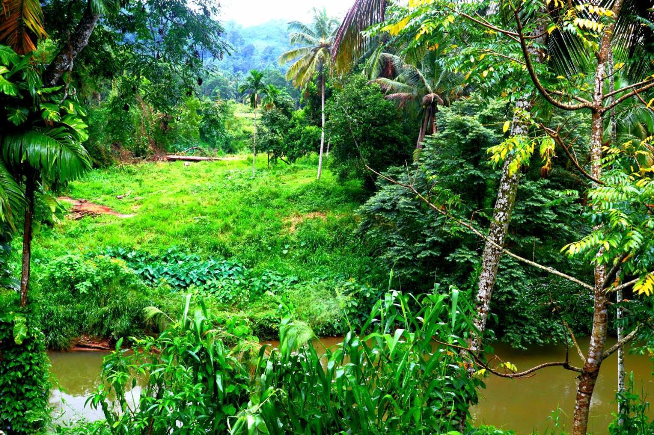 Rainforest River Bay Deniyaya Exterior photo
