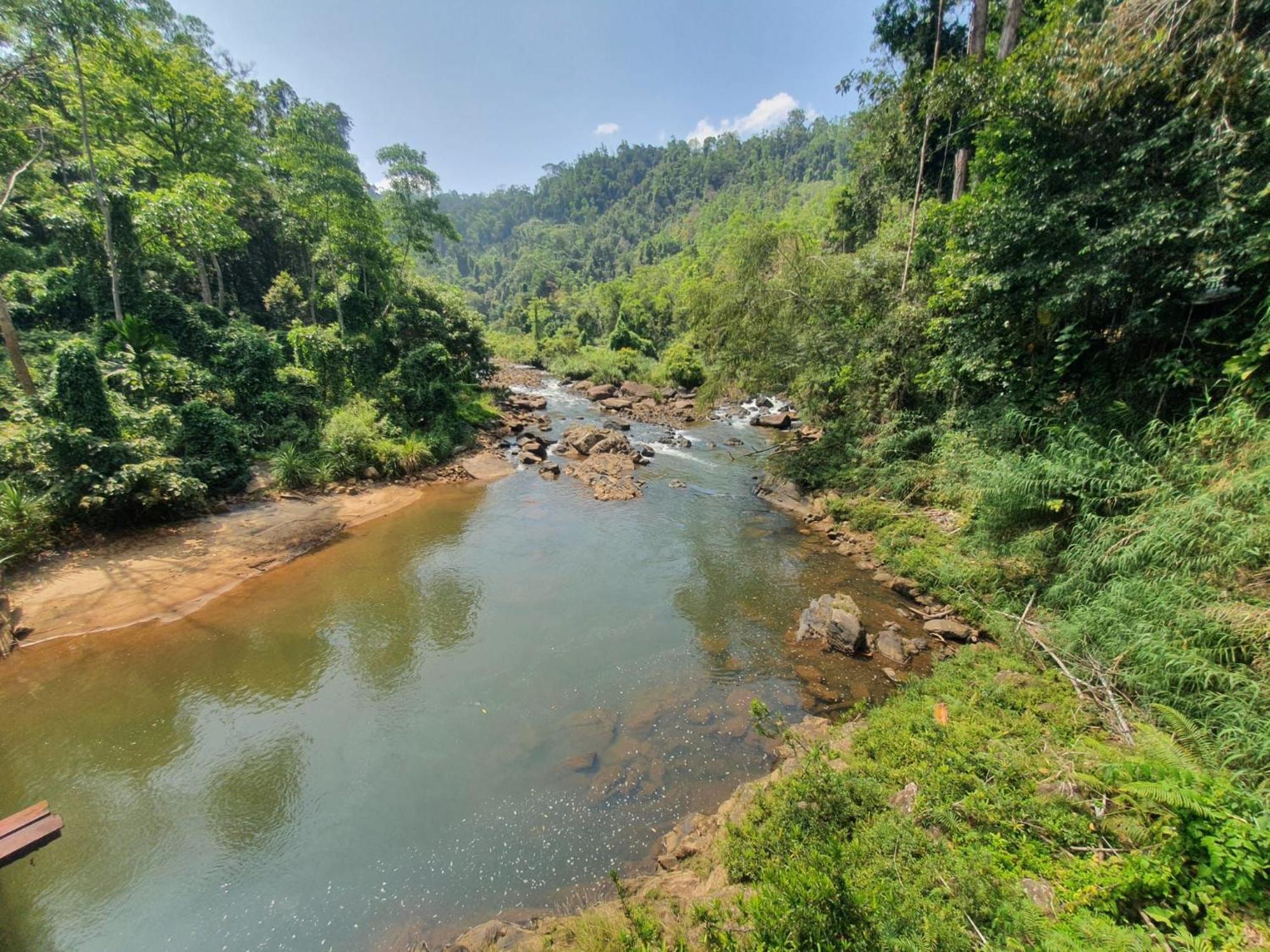 Rainforest River Bay Deniyaya Exterior photo